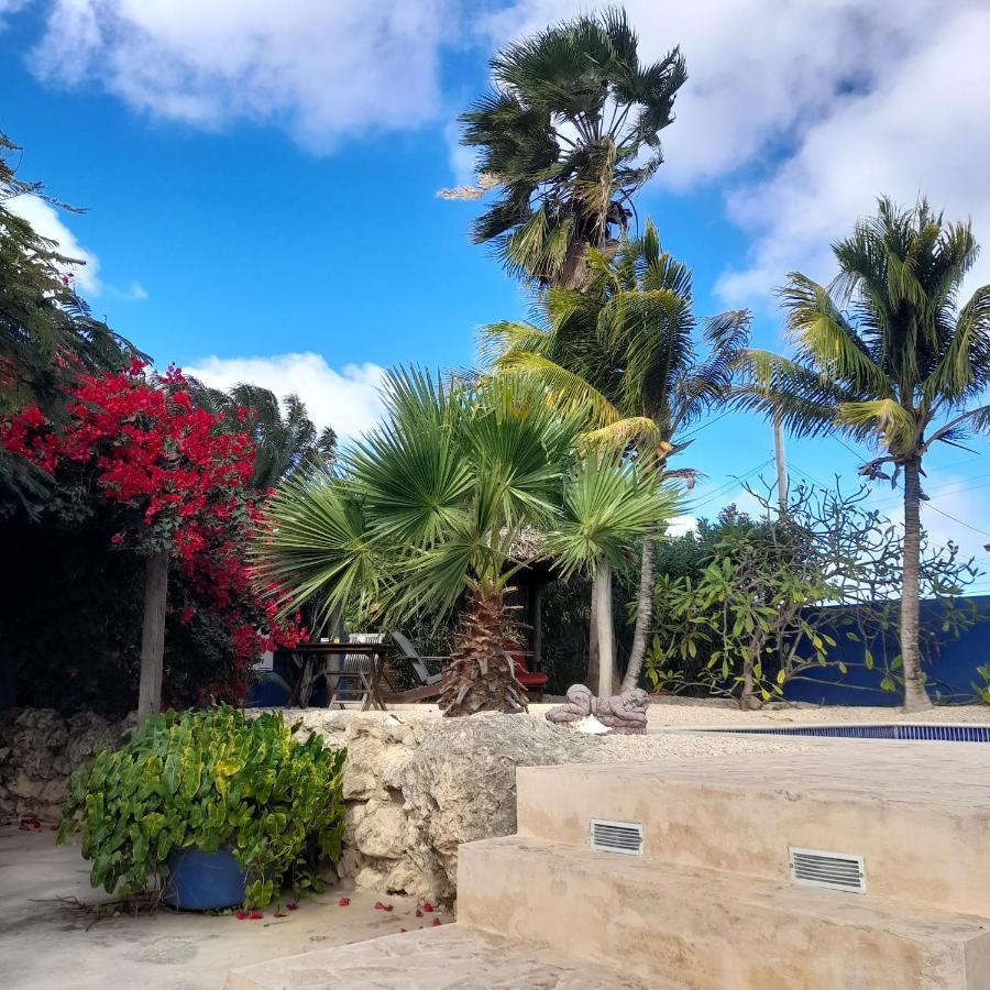Caribbean Chillout Apartments Playa Exteriör bild
