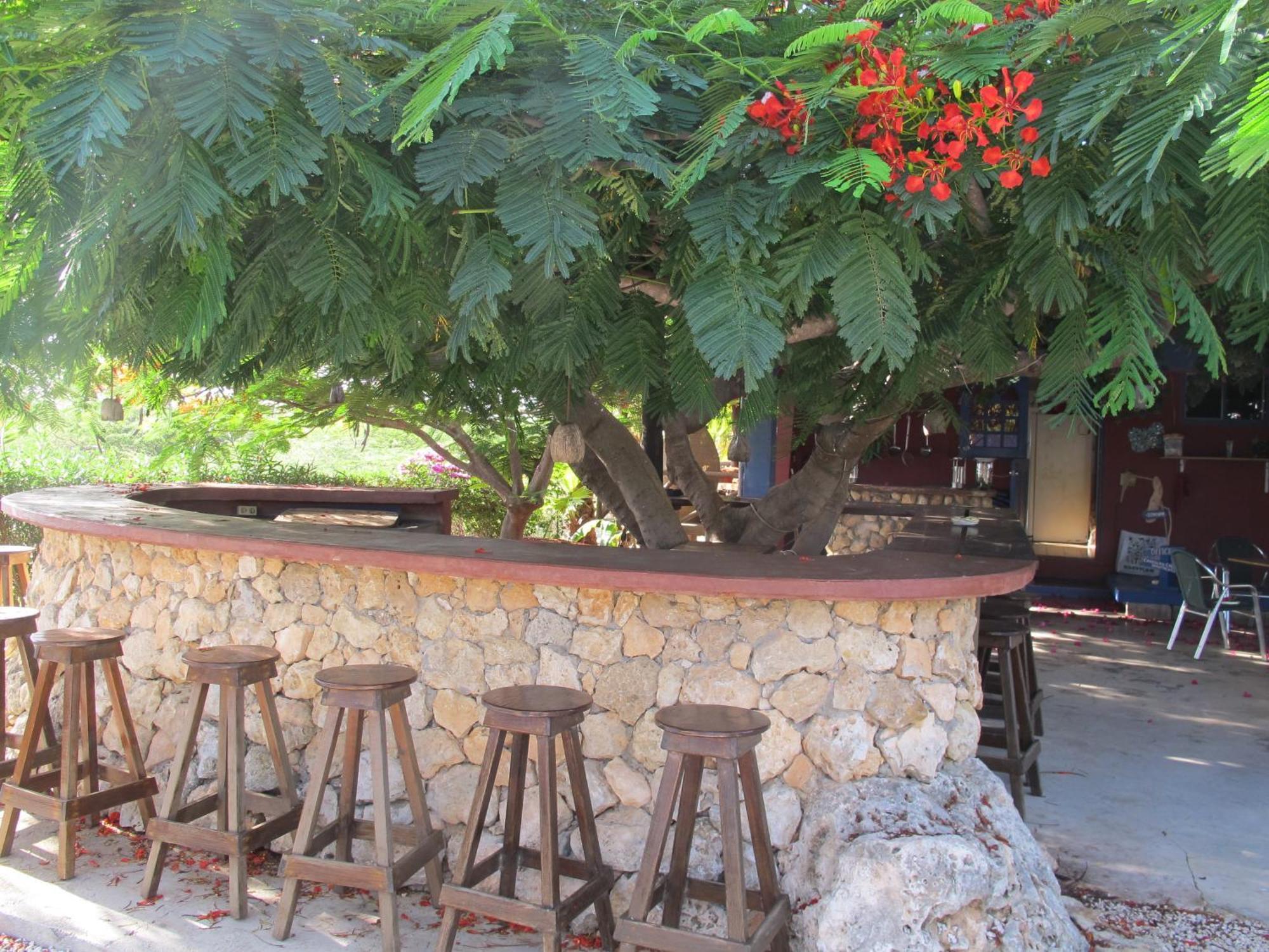 Caribbean Chillout Apartments Playa Exteriör bild