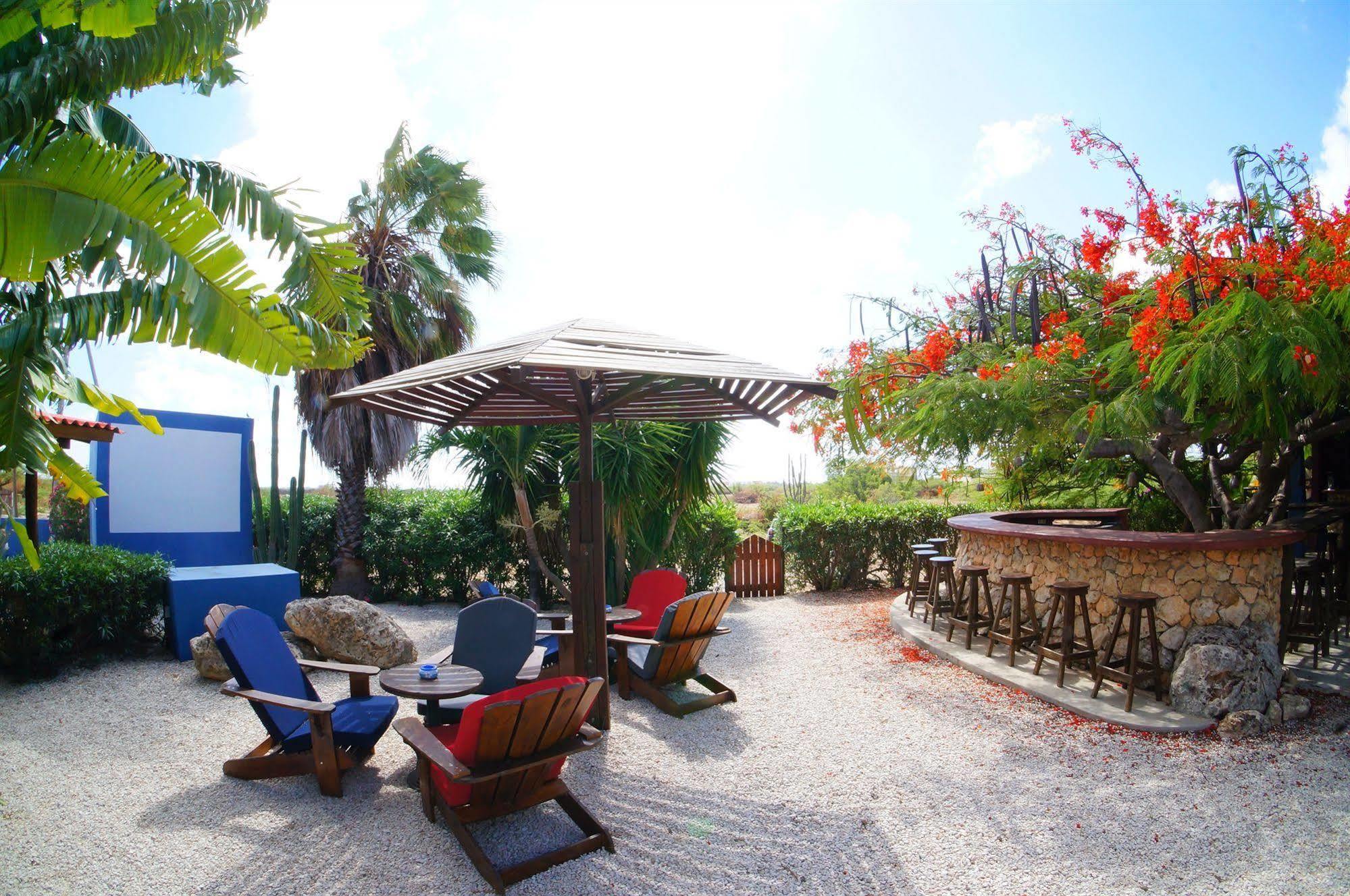 Caribbean Chillout Apartments Playa Exteriör bild