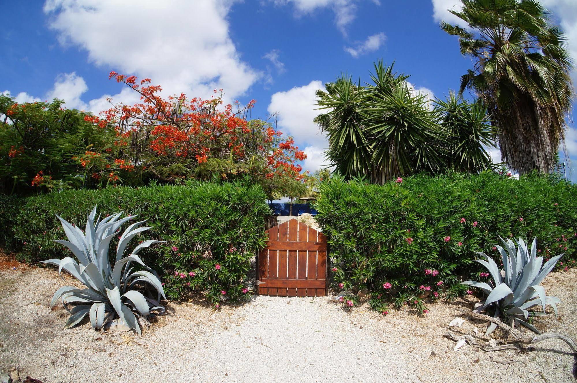 Caribbean Chillout Apartments Playa Exteriör bild