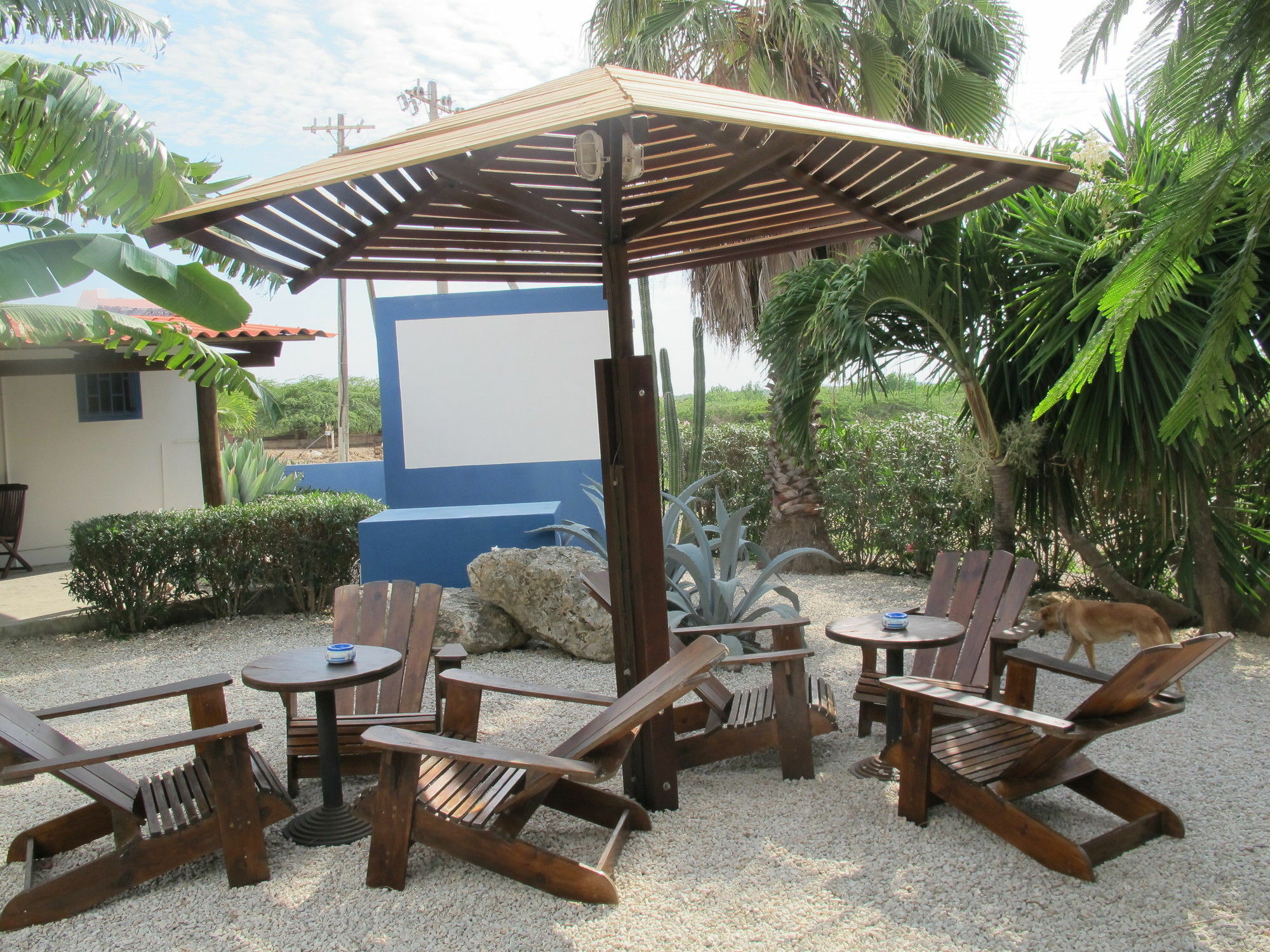 Caribbean Chillout Apartments Playa Exteriör bild